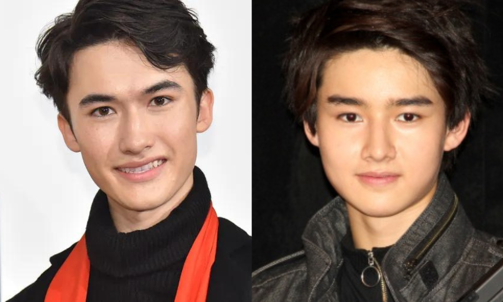 藤岡真威人(まいと)と似ているマリウス葉